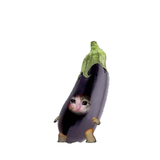 Sticker Стики 1735 из @Anonymnyi_chat_bot - 11