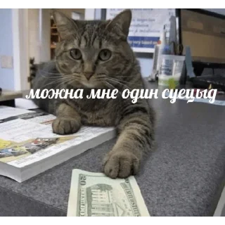 Sticker Создано в @sozdsti_bot - 1