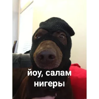 Sticker Создано в @sozdsti_bot - 5