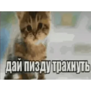 Sticker Создано в @sozdsti_bot - 0