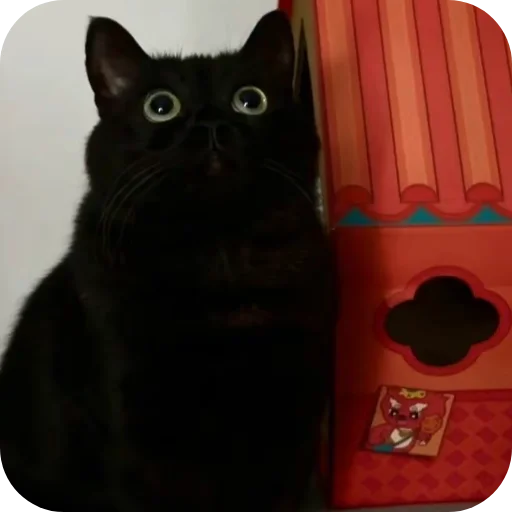 Стикер DUNKAN95 - 1