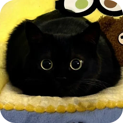 Стикер DUNKAN95 - 1