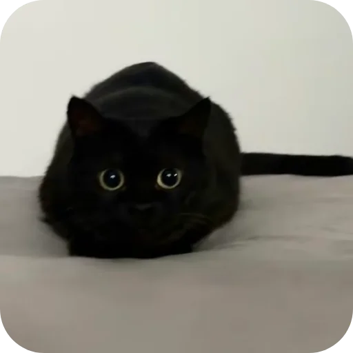 Стикер DUNKAN95 - 1