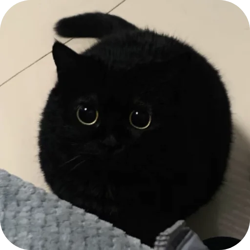 Стикер DUNKAN95 - 1