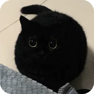 Sticker ДУНКАН - 1