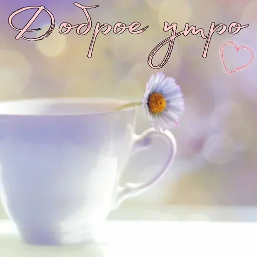 coffee cup flower teacup