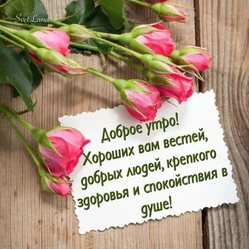 Доброе утро/Спокойной ночи ❤️ - 