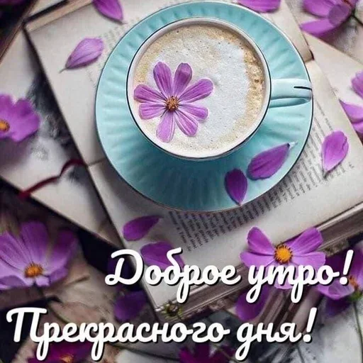 тарелка посуда фиолетовый