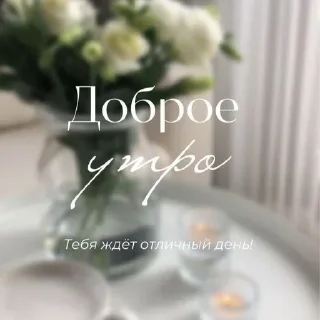 flower arranging cut flowers vase