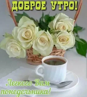 serveware coffee cup rose