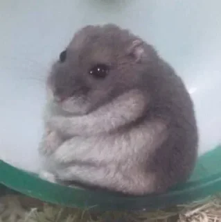 Стикер Создай свои стикеры - @sozdsti_bot - 9