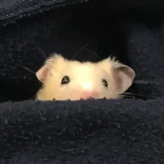 Стикер Создай свои стикеры - @sozdsti_bot - 2