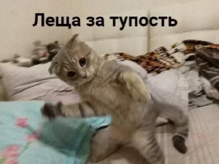 Sticker Больше стикеров 👉🏻 @stickertg4 - 0