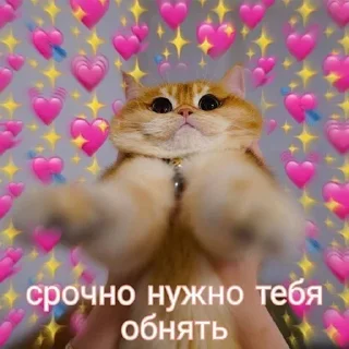 Sticker @StickersFuck1 - 8