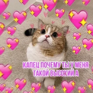 Sticker @StickersFuck1 - 2