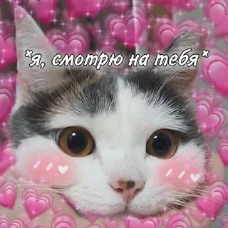 Sticker @StickersFuck1 - 1