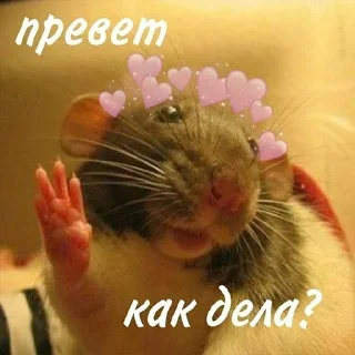 Sticker @StickersFuck1 - 6