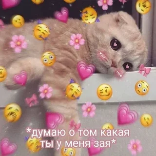 Sticker @StickersFuck1 - 11