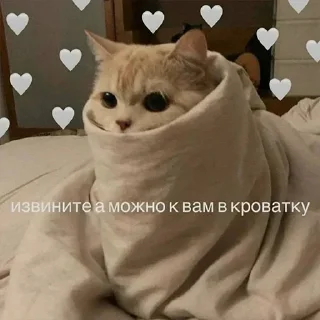 Sticker @StickersFuck1 - 9