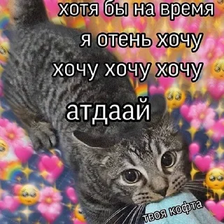 Sticker @StickersFuck1 - 0