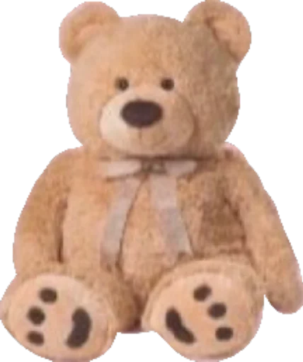 clothing fabric teddy