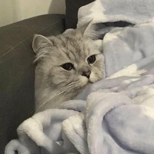 Sticker D_stickers1 - 1