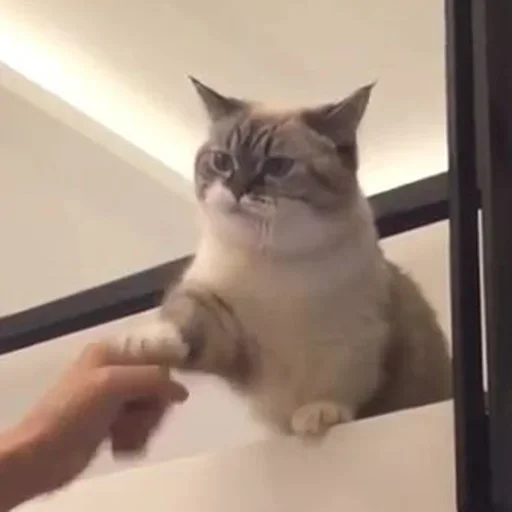 Sticker D_stickers1 - 1