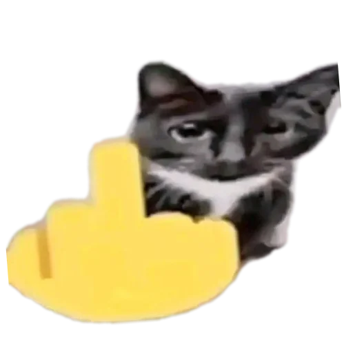 Да блин, нууууу - 