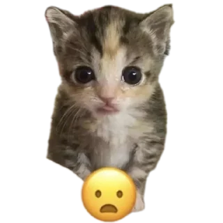 Sticker Да блин, нууууу - 6