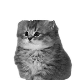 Sticker Да блин, нууууу - 0