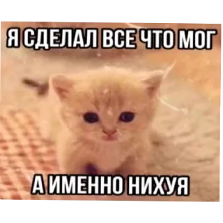 Sticker Да блин, нууууу - 9