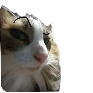 Sticker Да блин, нууууу - 1