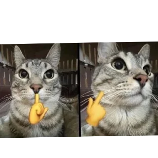 Sticker Да блин, нууууу - 5