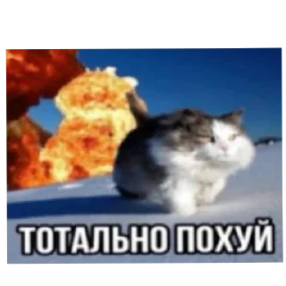 Sticker Да блин, нууууу - 7