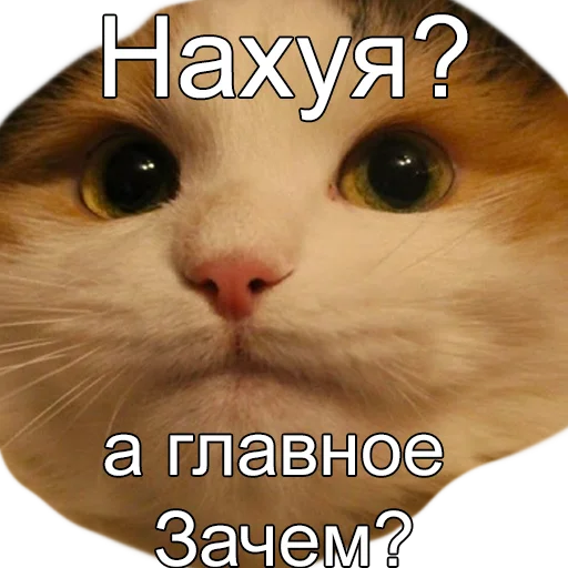 животное млекопитающее СМС