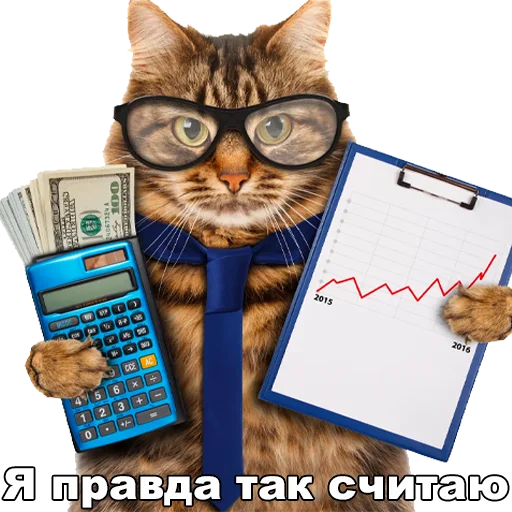 кошка СМС животное