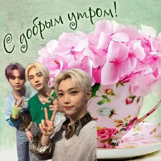 Стикер Stray kids ворлд доминейшн - 8