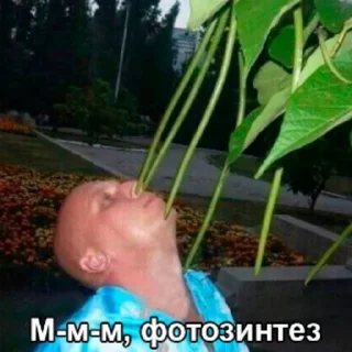 Sticker Ага да - 3