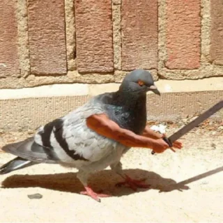 Sticker Ага да - 2