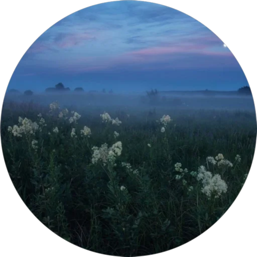 Стикер Daa_y - 1