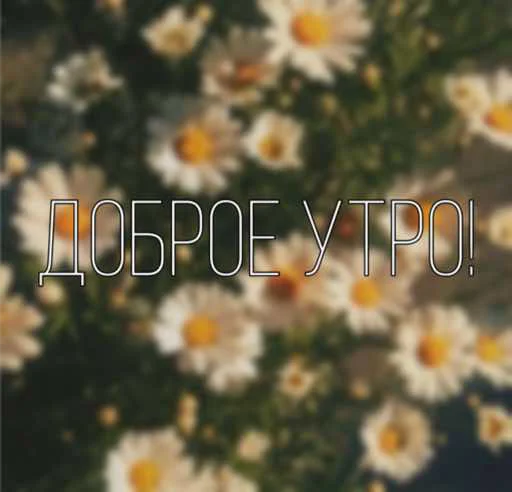 Стикер Daa_y - 1