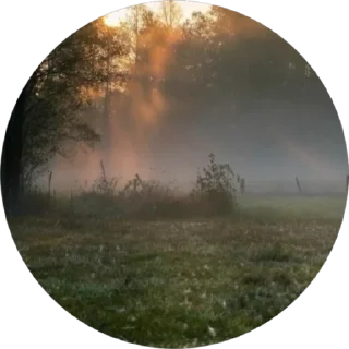 Стикер Настроение @RinaVerrat - 10