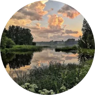 Стикер Настроение @RinaVerrat - 6