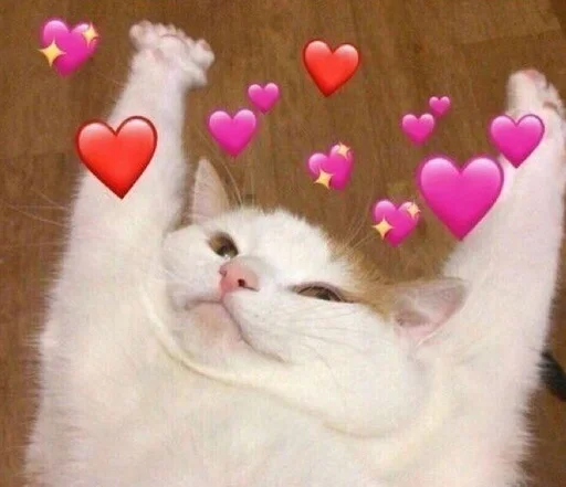 кошки малого и среднего размера млекопитающее кошачьи