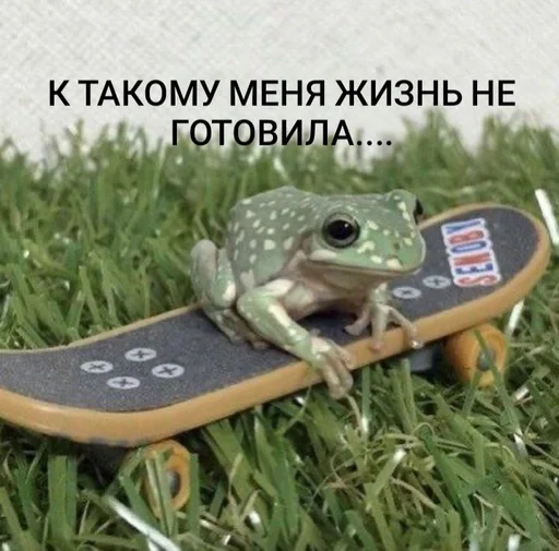 трава амфибия растение