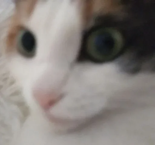 Стикер داشيشكا، بيع للعرب :: @fStikBot - 6