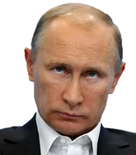 person human face forehead