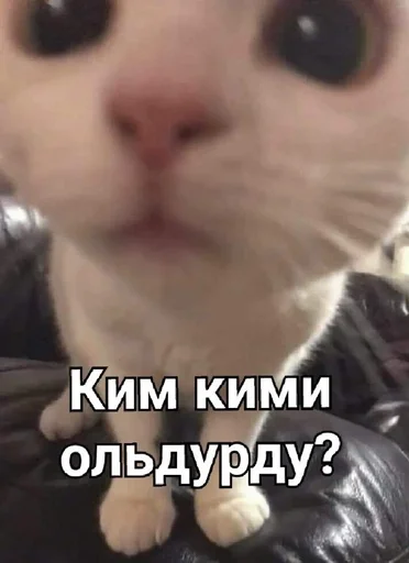 Sticker DagosGreysTind :: @fStikBot - 10