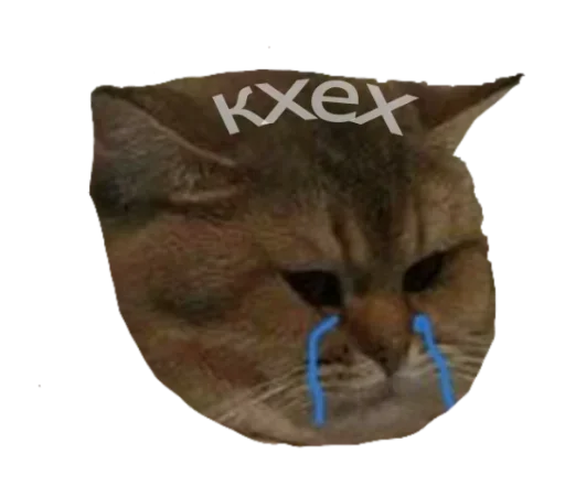 Стикер стикеры лизы!! :: @fStikBot - 10