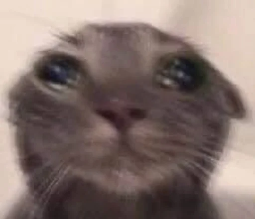 Стикер стикеры лизы!! :: @fStikBot - 6